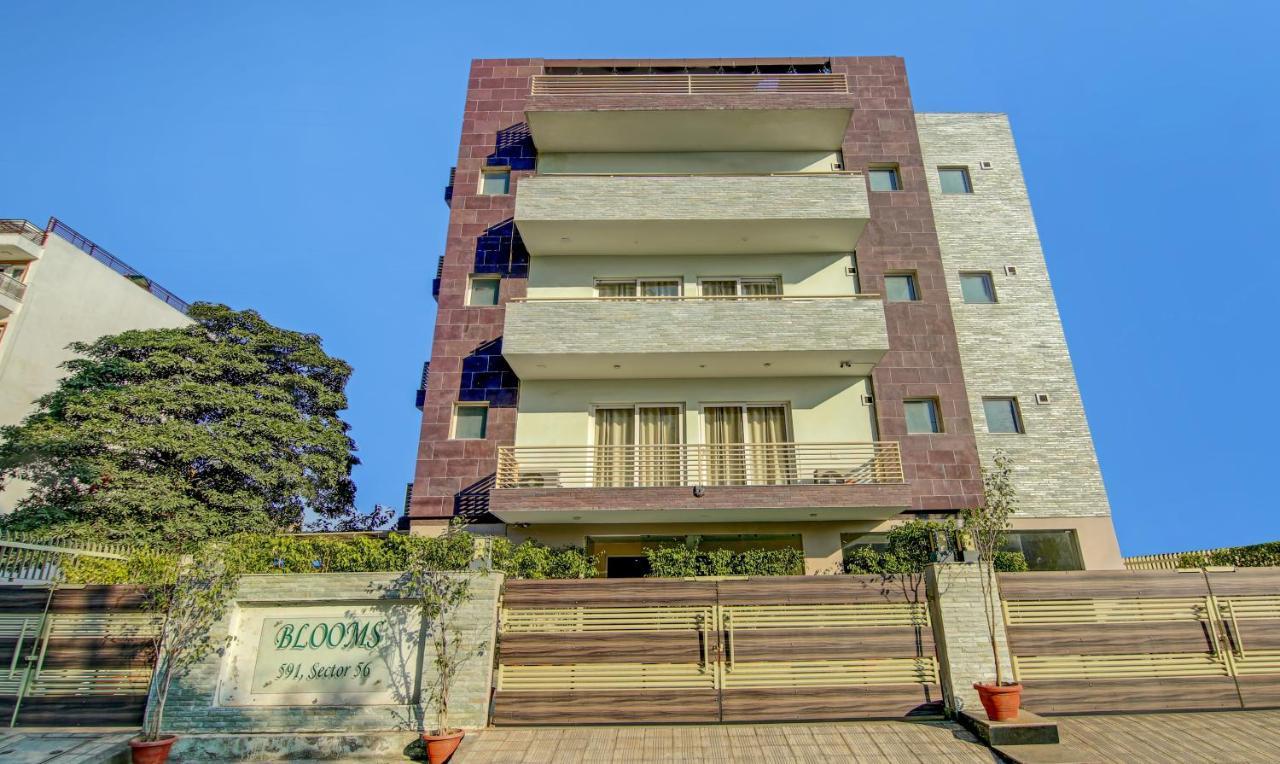 Treebo Trend Blooms Premium Hotel Gurgaon Eksteriør billede
